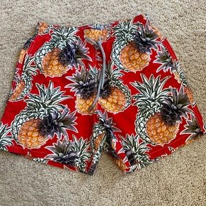 NWOT Vilebrequin swim trunks